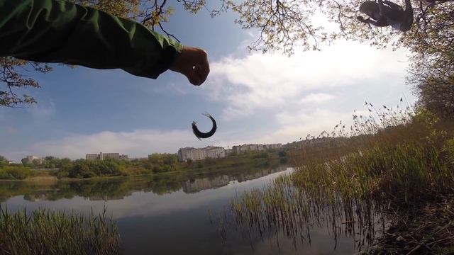 Мормышинг. Теория и практика смотреть онлайн