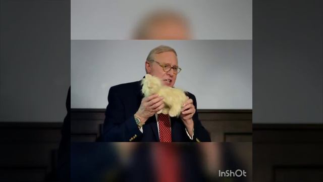 Видео про студентов котят! смотреть онлайн