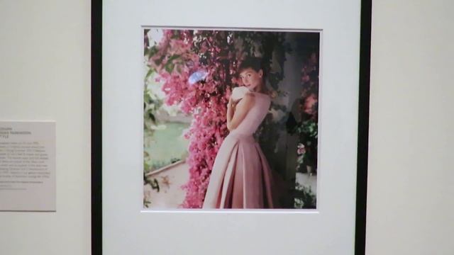 Audrey Hepburn Portrait of an Icon at the National Portrait Gallery in London смотреть онлайн