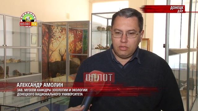 • Нашествие улиток