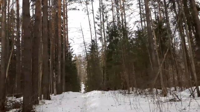 Источник, ЖД, Саров. смотреть онлайн