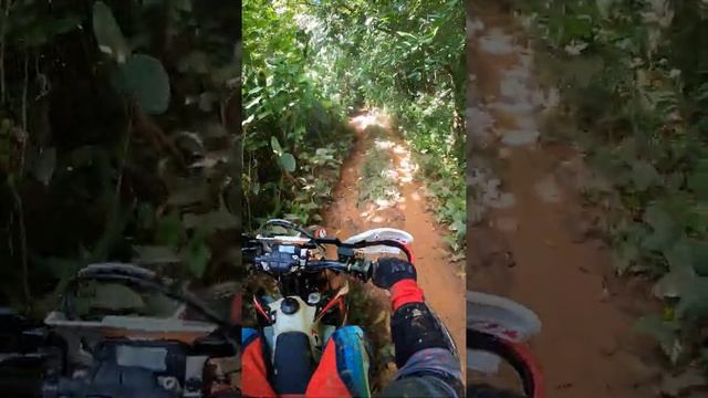 avata en la rieju mr 300 смотреть онлайн