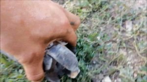 Как почистить скважину от песка и камней своими руками