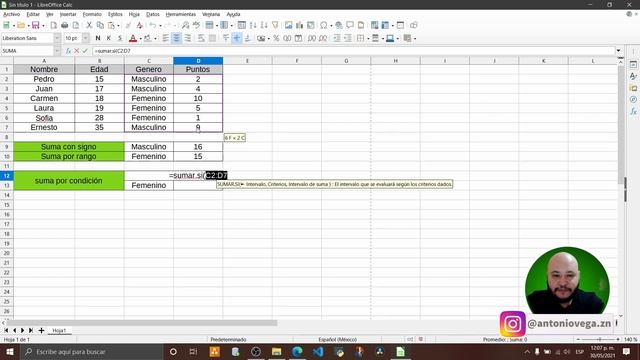 SUMAR.SI Libre Office смотреть онлайн