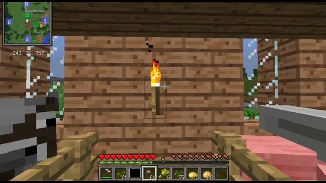 Я ЗАСНЯЛ ТВМЭНА НА КАМЕРУ НАБЛЮДЕНИЯ РЕАЛЬНАЯ ЖИЗНЬ ДЕРЕВНЕ АЛТАЙ.MINECRAFT. ZARTER PLAY