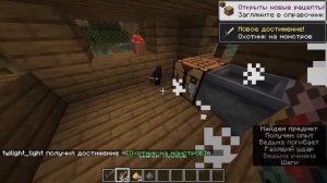 Как выполнить достижение  Полный Котолог