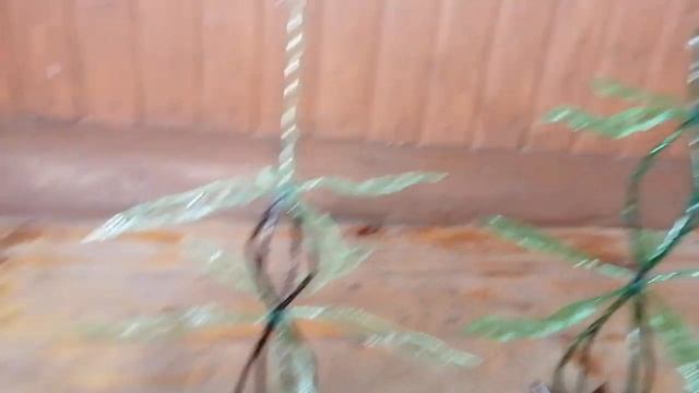 Новые поделки из пластиковых бутылок смотреть онлайн