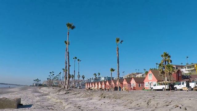 Crew working in trees - Новая причёска пальм на пляже смотреть онлайн