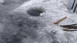 Зимняя рыбалка на амуре - Разнорыбица (Ассорти)