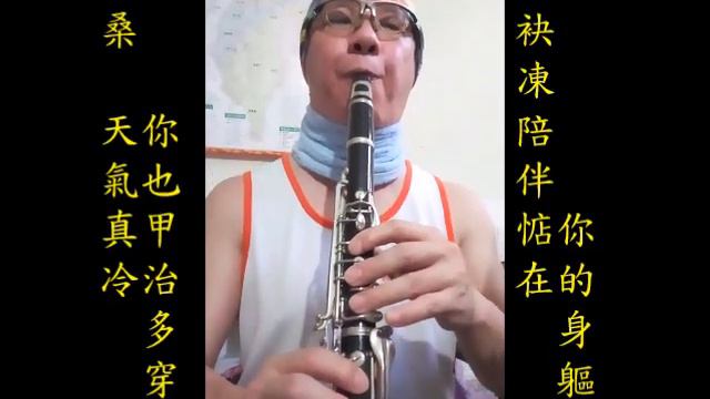 洪百慧-多桑-降B調黑管/豎笛/單簧管/Clarinet練習03(cover-by 任閒騎miraclemaryboy)F調 смотреть онлайн