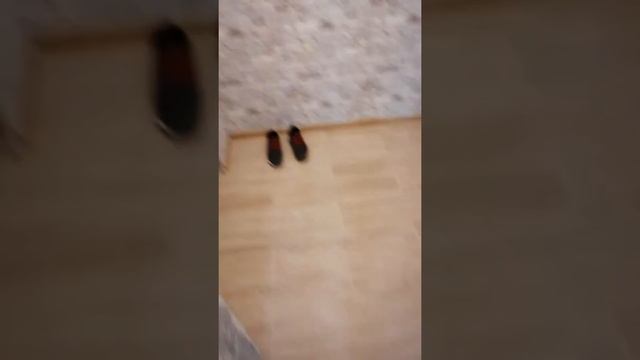 Хороший ремонт квартиры в бюджетном сегменте в Москве смотреть онлайн