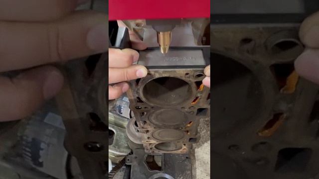 1000041771.mp4 смотреть онлайн