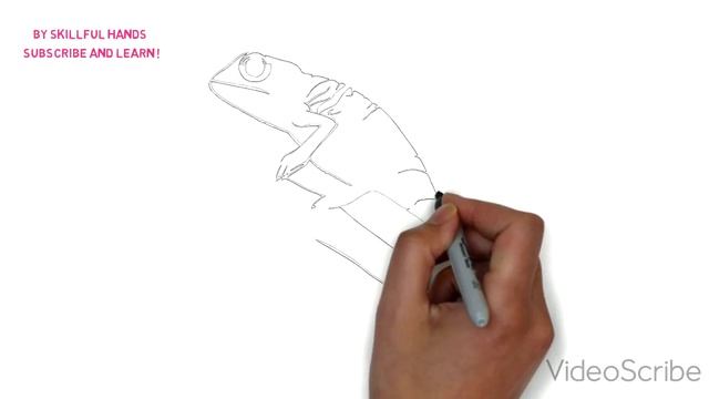 How to Draw a Chameleon / Как нарисовать хамелеона смотреть онлайн