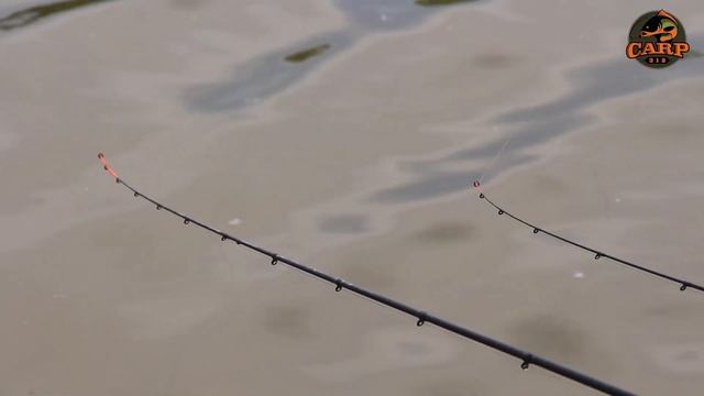 ЛОВЛЯ ФИДЕРОМ НА МАЛЫХ ВОДОЕМАХ В КЫРГЫЗСТАНЕ смотреть онлайн