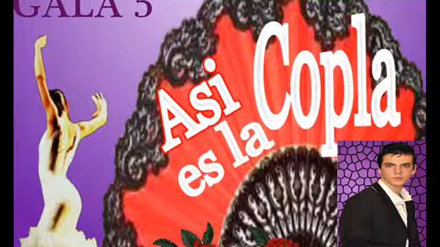 CALLE ELVIRA - MIGUEL ÁNGEL LOPEZ.wmv смотреть онлайн
