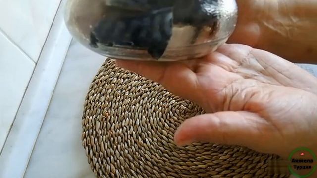 Малососольная скумбрия в масле,вкусно,быстро ,рецепт от Ольги Матвей смотреть онлайн