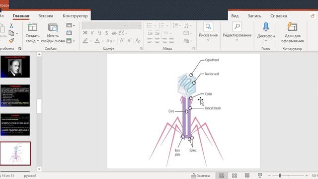 Lecture 5 — Genotypic Variation In Microorganisms.mp4