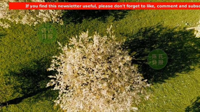 【陈氏日报8月18日】画虎画皮难画骨，知人知面不知心。#meaningfulquotes #非常有意义的名言 смотреть онлайн
