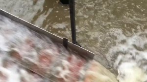 Мини-драга под эжектор 3-4”  Deepsees 50/50 flat level