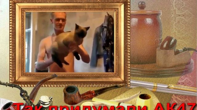 Видео открытка Стреляет из кота смотреть онлайн