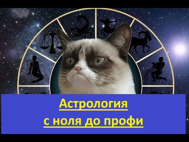 Мой курс астрологии от нУля до уровня профи смотреть онлайн