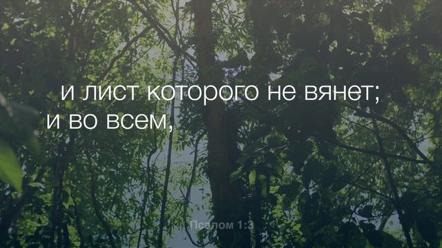 Псалом 1 | Аудио Библия с субтитрами на русском языке смотреть онлайн