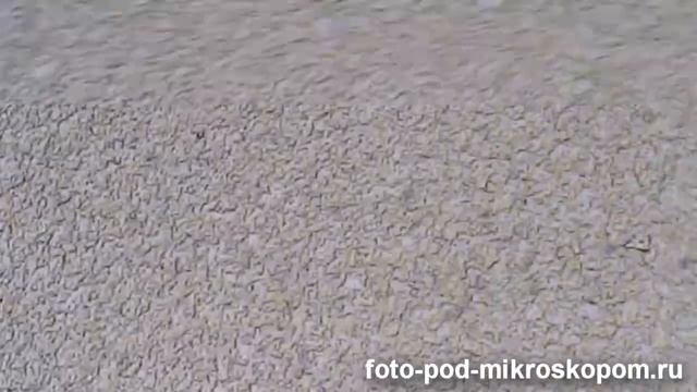 Крем для рук "Бархатные ручки" под микроскопом смотреть онлайн