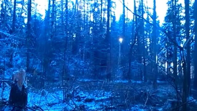 VIDEO0087 смотреть онлайн