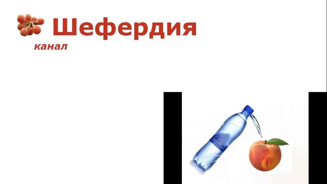 CO2 повышение зимостойкости плодовых смотреть онлайн