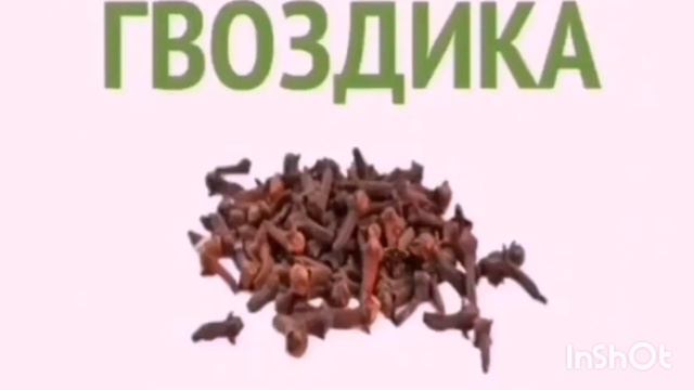 Целебные свойства трав и специй смотреть онлайн
