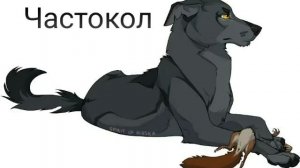 Коты-Воители в виде собак от Spirit of Alaska(Псы-Воители)