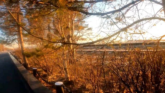 Северодвинск 21.04.21 смотреть онлайн