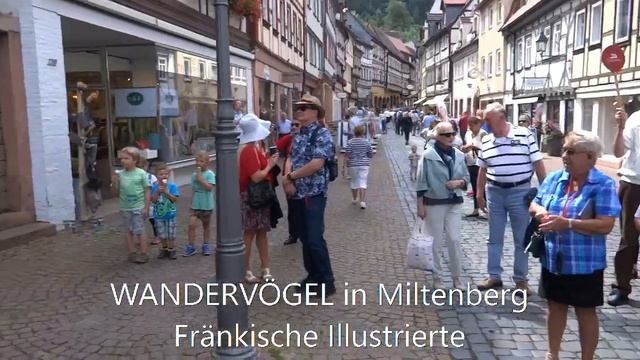Wandervögel in Miltenberg смотреть онлайн