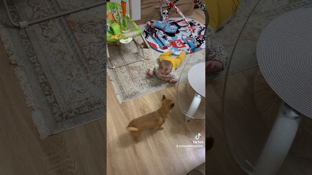 2023-11-04-215925562