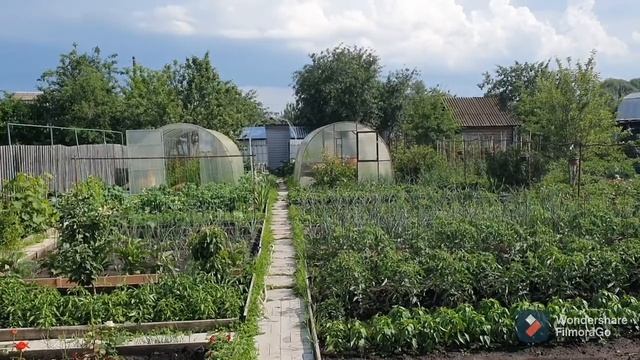 24. Бройлеры. Итоги содержания 12 штук на даче. смотреть онлайн