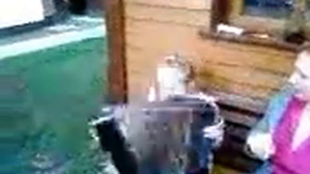 2010 Клёвые песни смотреть онлайн