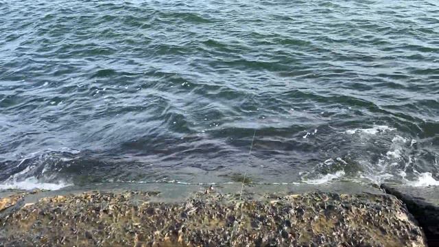 18 февраля 2024 г.рыбалка в черном море смотреть онлайн