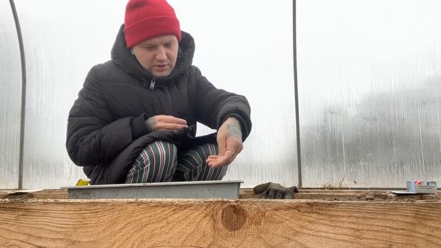 Что же делать,Мышь ?не Отступает, посадка капусты. смотреть онлайн