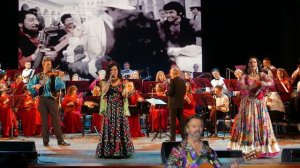 Мохнатый шмель.mp4