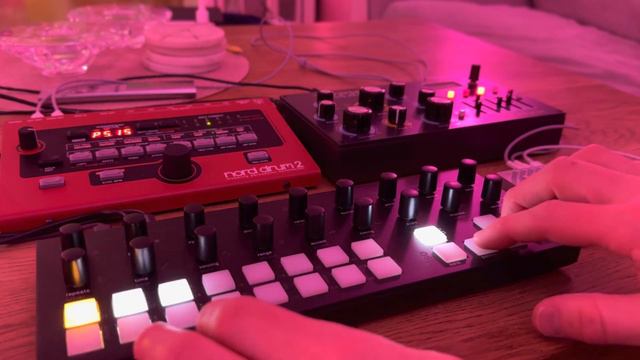 Nord Drum 2 and Dreadbox Typhon and Torso T-1 смотреть онлайн