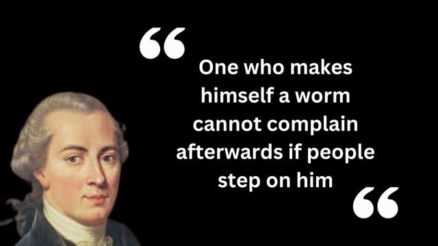 Immanuel Kant Quotes Video смотреть онлайн