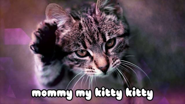 MY KITTY KITTY By The Mighty Sweet 🐱🐱