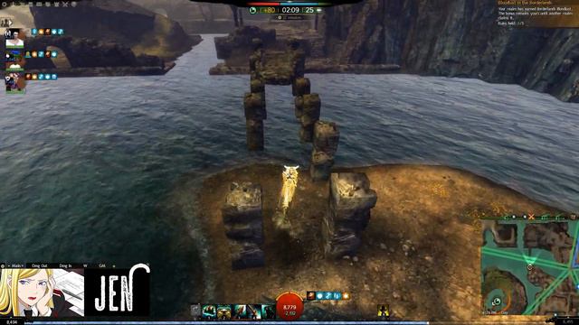 GW2 - WvW Power Scrapper - Guild Wars 2 Build - Engineer Gameplay End Of Dragons