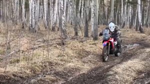Motoland Dakar 250st небольшой прохват по лесам