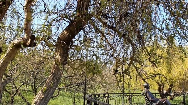 Таганрог город Чехова 25 04 2021 Вербное воскресенье смотреть онлайн