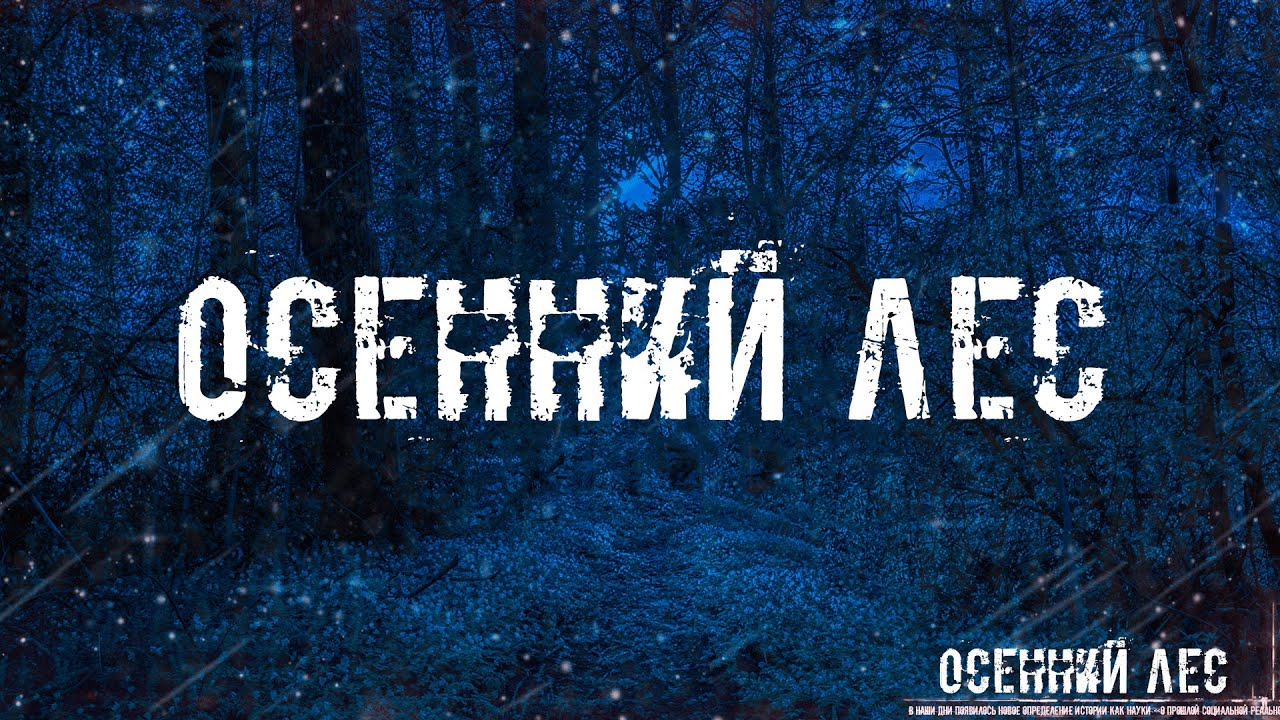 ОСЕННИЙ ЛЕС! Страшные Истории На Ночь смотреть онлайн