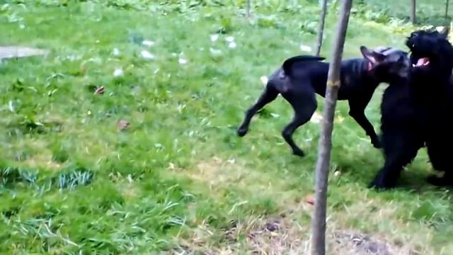 Вот это встреча смотреть онлайн