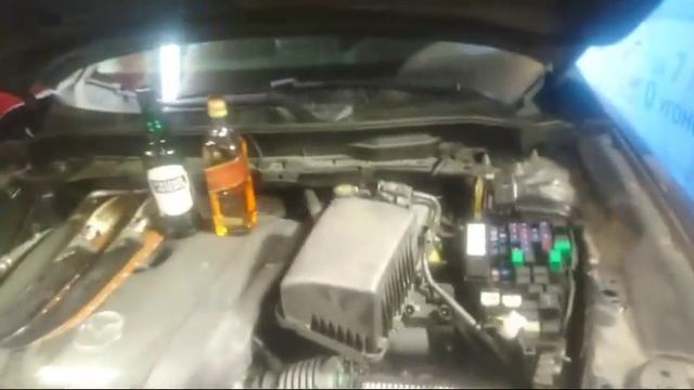 Музей Поле Чудес смотреть онлайн