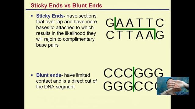 Restriction Enzymes смотреть онлайн