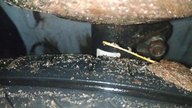 Скрип стойки весты